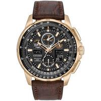 Citizen Watch Eco Drive Mens Limited Edition