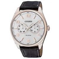 Citizen Mens Eco-Drive Watch AO9023-01A