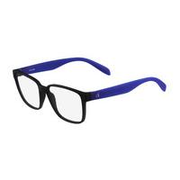 CK Eyeglasses 5910 001