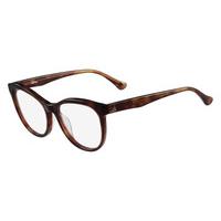 CK Eyeglasses 5923 211