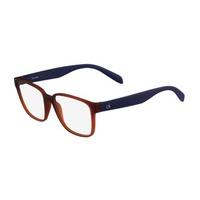 ck eyeglasses 5910 810