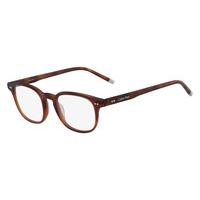 ck eyeglasses 5978 213