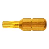 ck tools t4557tin 10 screwdriver bit tin tx10