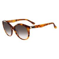 CK Sunglasses 4291S 211