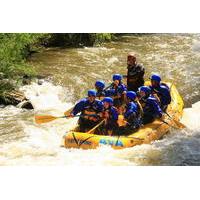 clear creek gold rush whitewater rafting