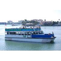 Clearwater Dolphin-Watching Tour