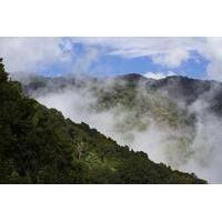 Cloud Forest Hike at Juan Castro Blanco National Park