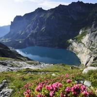 Classic Swiss Alps Walk