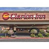 clarion modesto