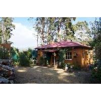 Classic Cottages Port Arthur