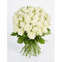 Classic Roses White