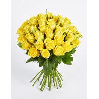 Classic Roses Yellow