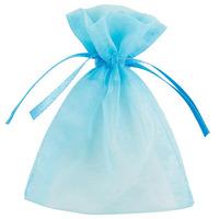 Club Green Small Organza Pouch - Blue