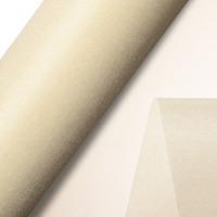 Club Green Organza 25m Snow Sheer Roll - Ivory