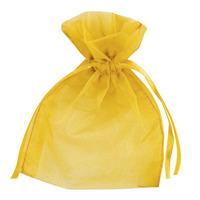 Club Green Small Organza Pouch - Gold