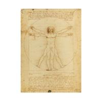 Clementoni Leonardo da Vinci - Vitruvian Man