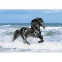 Clementoni Black Horse