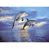 clementoni dolphins 500 pieces