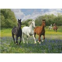 Clementoni Horses (1000 pieces)