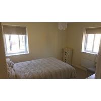 Clean Modern Room in Quite area ...