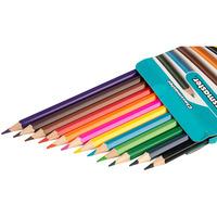 Classmaster Assorted Colouring Pencils Wallet 12