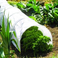 Clear Polythene Grow Tunnel Cloche by Gardman