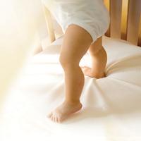 Clevamama Clevabed Cotton Top Waterproof Cot Mattress Protector