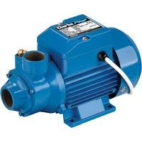 clarke clarke bip1000 1 electric water pump