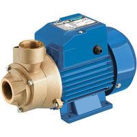 clarke clarke ceb103 1 230v centrifugal brass body water pump