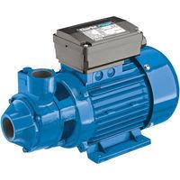 Clarke Clarke BIP1500 1 Electric Water Pump