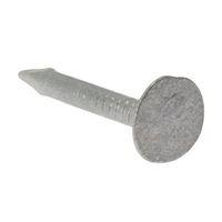 Clout Nail Extra Large Head Galvanised 30mm Bag Weight 2.5kg