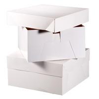 Club Green 10 Square Cake Boxes - 16 Inch