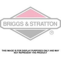 Clarke Briggs & Stratton 13201 5.5hp Vangaurd Petrol Engine