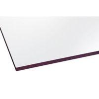 Clear Flat Polycarbonate Glazing Sheet 1220mm x 610mm Pack of 2