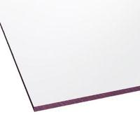 Clear Flat Polycarbonate Glazing Sheet 1220mm x 610mm Pack of 2