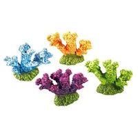 classic coral life coloured coral 60mm pack of 12