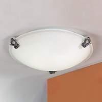 Classic Ceiling Light with Matte Glass 40 cm