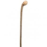 Classic Canes Hazel Coppice Knob Stout Walking Stick