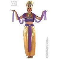 Cleopatra Gold/purple Costume Small For Egyptian Ancient Egypt Fancy Dress