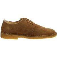 Clarks Desert London cola suede