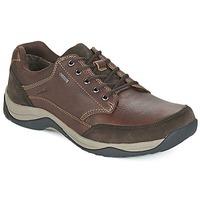 clarks baystonego gtx mens shoes trainers in brown