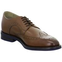 Clarks Swinley Limit men\'s Casual Shoes in Brown