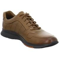 clarks tynamo race mens shoes trainers in brown