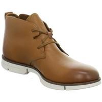 Clarks Trigen Mid men\'s Mid Boots in Brown