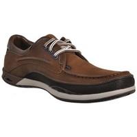 clarks orson lace m mens shoes trainers in brown