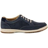 clarks stafford navy mens shoes trainers in multicolour