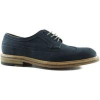 Clarks EDWARD STYLE men\'s Casual Shoes in blue