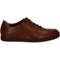 clarks 123298 shoes with laces man brown mens casual shoes in brown