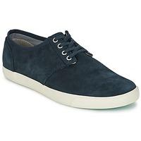 Clarks TORBAY LACE men\'s Shoes (Trainers) in blue