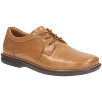 clarks butleigh edge mens wide formal shoes mens casual shoes in brown